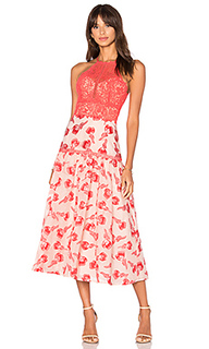 Floral jacquard midi dress - Rebecca Taylor