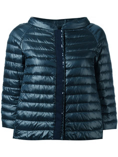 collarless down jacket Herno