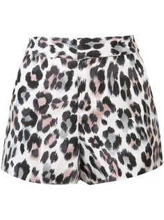 leopard print shorts Joie