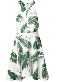 leaf print mini-dress  C/Meo