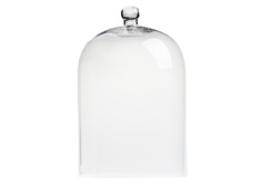 Декоративный купол "Oyster" D&G