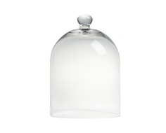 Декоративный купол "Oyster" D&G