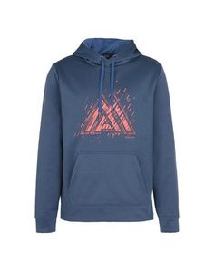 Толстовка The North Face