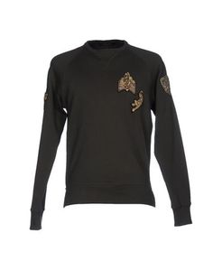 Толстовка Roberto Cavalli