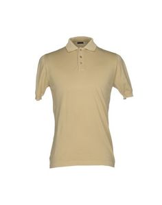 Поло Kiton