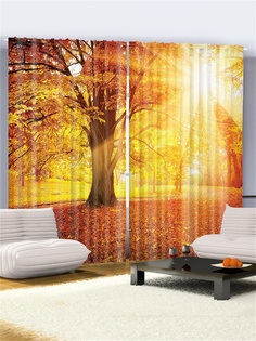 Фотошторы Magic Lady