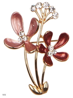 Броши Vittorio Richi