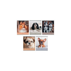 Комплект тетрадей "Очаровательные собаки" (10 шт), 48 листов, Канц-Эксмо