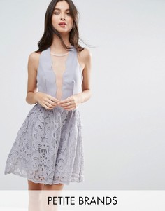 Короткое приталенное платье с ажурной юбкой и фигурным краем Little Mistress Petite - Серый