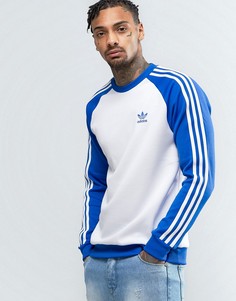 Синий свитшот с круглым вырезом adidas Originals Superstar Crewneck BK5821 - Синий