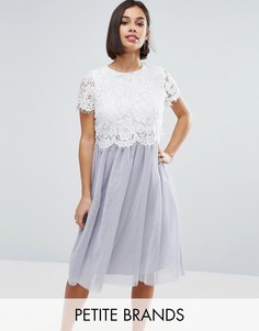 Короткое приталенное платье с кружевным топом и юбкой из тюля Boohoo Petite - Серый