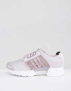 Фиолетовые кроссовки adidas Originals Climacool - Фиолетовый