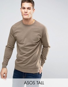 Бежевый свитшот ASOS TALL - Бежевый