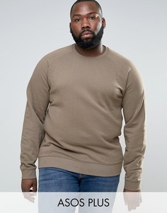 Бежевый свитшот ASOS PLUS - Бежевый