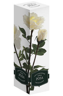 Светильник РОЗА СТАРТ Start