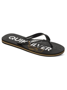 Шлепанцы Quiksilver