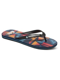 Шлепанцы Quiksilver
