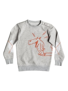 Свитшоты Quiksilver