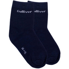 Носки для мальчика Gulliver