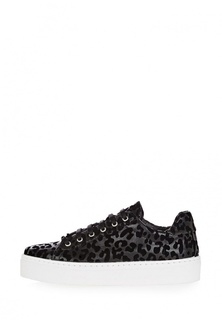 Кеды Topshop