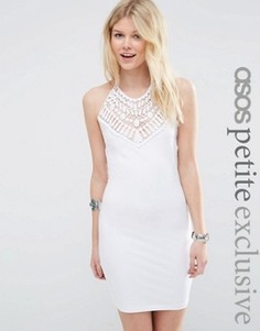 Облегающее платье-халтер с хлопковой кружевной отделкой ASOS PETITE - Белый