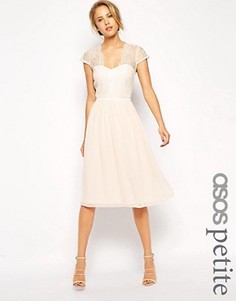Платье миди с фигурным кружевом ASOS PETITE - Розовый