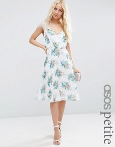 Платье миди с принтом и кружевом для миниатюрных ASOS PETITE - Мульти