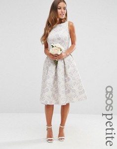 Жаккардовое платье миди для выпускного ASOS PETITE WEDDING - Мульти