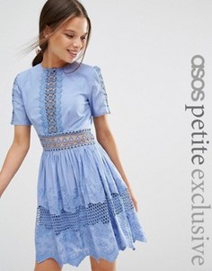 Хлопковое платье с кружевом и вышивкой ASOS PETITE - Синий
