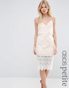 Платье-футляр с укороченным лифом и кружевом с фигурным краем ASOS PETITE - Белый