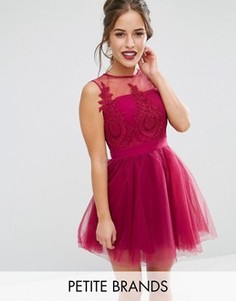 Платье мини для выпускного с пышной юбкой и вышивкой Chi Chi London Petite - Розовый