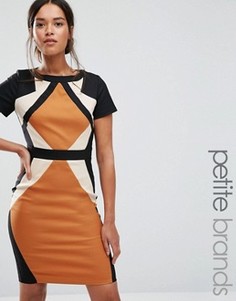 Платье-футляр колор блок Paper Dolls Petite - Мульти
