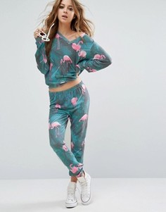 Спортивные штаны с пальмовым принтом и фламинго Wildfox Knox - Мульти