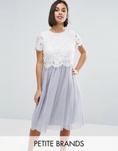 Короткое приталенное платье с кружевным топом и юбкой из тюля Boohoo Petite - Серый
