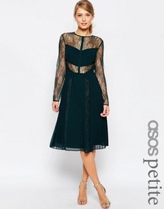 Приталенное кружевное платье миди с вырезами ASOS PETITE - Зеленый