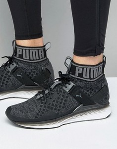 Черные кроссовки с выцветшим эффектом Puma Ignite Evoknit 18989501 - Черный
