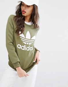 Свитшот с логотипом с тремя полосками Adidas Originals - Зеленый