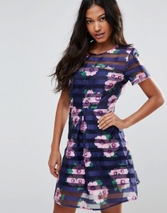 AX Paris Mesh And Sheer Skater Dress - Темно-синий