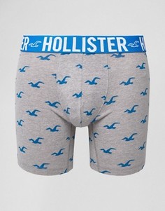 Hollister Logo Printed Trunks - Серый