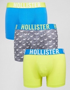 Hollister Logo 3 Pack Trunks - Мульти