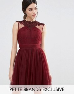 Короткое приталенное платье с цветочным кружевом Little Mistress Petite - Красный