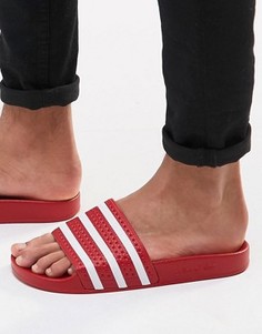 Шлепанцы adidas Originals Adilette 288193 - Красный