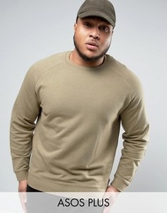 Бежевый свитшот ASOS PLUS - Зеленый