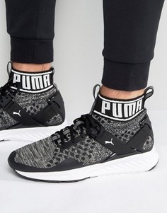 Черные трикотажные кроссовки Puma Ignite Evoknit 18969701 - Черный