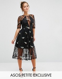 Кружевное платье миди с вышивкой птиц ASOS PETITE - Черный