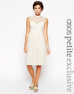 Платье миди из органзы с высоким воротом ASOS PETITE - Кремовый