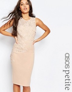 Платье-футляр миди с цветочной отделкой ASOS PETITE - Розовый