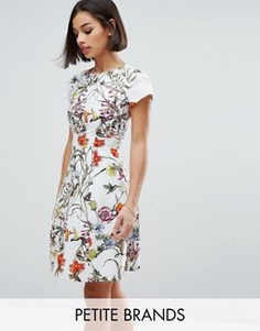 Короткое приталенное платье со складками на горловине Uttam Boutique Petite - Кремовый