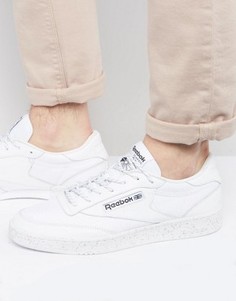 Белые кроссовки Reebok Club C 85 Ice BD1563 - Белый