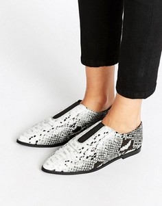Туфли на плоской подошве с острым носом ASOS MATILDA - Мульти